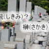 樒（しきみ）と榊（さかき）の違い。お墓参りではどっち？