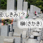 樒(しきみ)と榊(さかき)の違い。お墓参りではどっち?